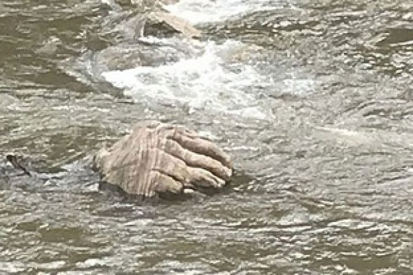 বন্যার পানিতে ভেসে উঠল অলৌকিক হাত!