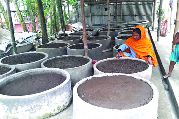 কিশোরগঞ্জে কেঁচো সার