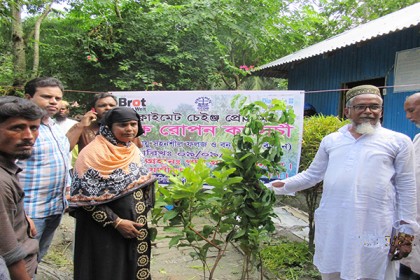 পাথরঘাটায় ফলজ ও বনজ চারা বিতরণ