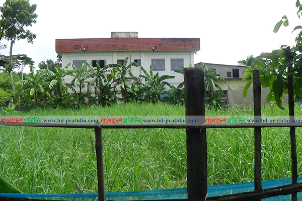 মোংলায় খেলার মাঠ দখল করে ঘাস চাষ!