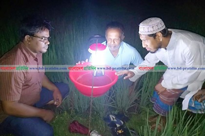 কীটনাশকের ব্যবহার কমাতে জমিতে ‘আলোক ফাঁদ’