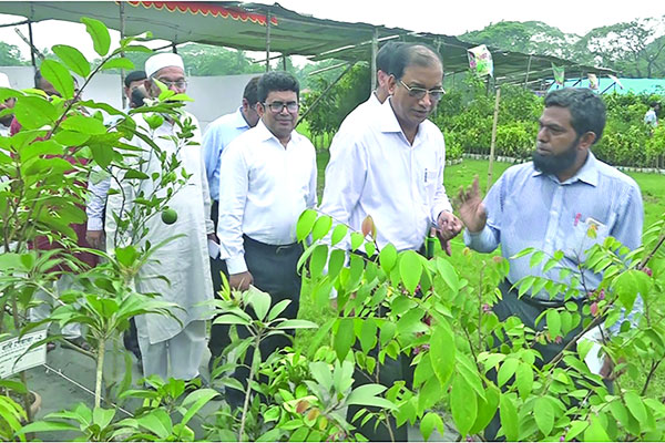নগর প্রাণ প্রকৃতি সাজাই