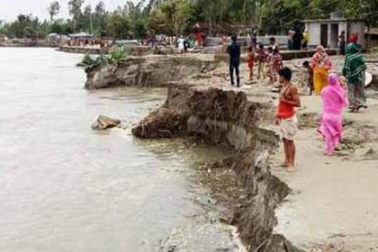 মেঘনার ভয়াবহ ভাঙন, রায়পুরে ৩’শ ঘরবাড়ি নদীগর্ভে বিলীন