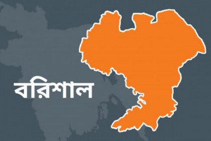 মুলাদীতে সাপের কামড়ে যুবকের মৃত্যু