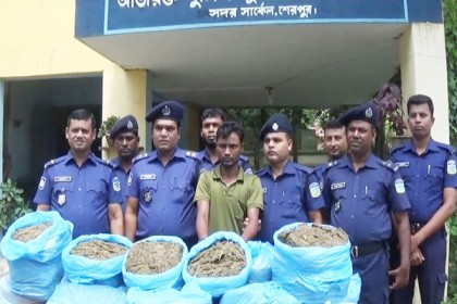 শেরপুরে ৭০ কেজি গাঁজাসহ মাদক ব্যবসায়ী গ্রেফতার

