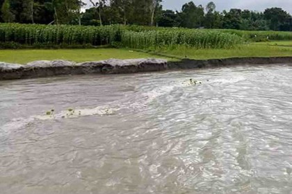 গাইবান্ধায় নদ-নদীর পানি বাড়ায় নিম্নাঞ্চল প্লাবিত