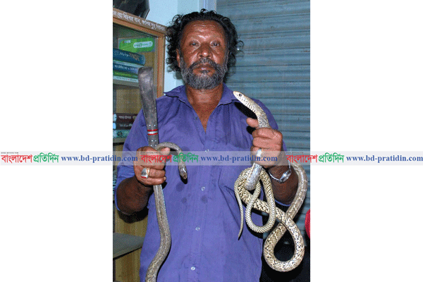 সাপ নিয়েই ইব্রাহিমের ষাট বছর