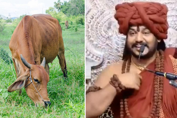গরুও কথা বলবে, নতুন বিতর্কে যৌন হেনস্থায় অভিযুক্ত ধর্মগুরু!