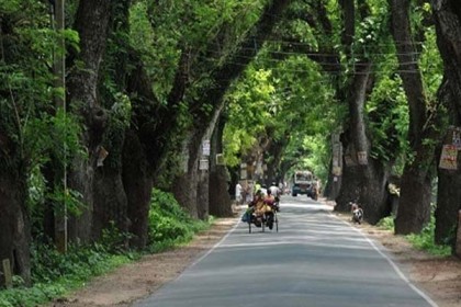 যশোর রোডের দুই ধারে গাছ কাটার ওপর স্থগিতাদেশ ভারতের শীর্ষ আদালতের 
