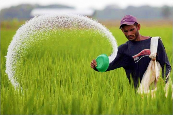 সারে ক্ষতি হচ্ছে তরুণদের শুক্রাণুর!

