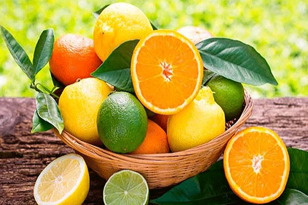 কিডনিতে পাথর হওয়া প্রতিরোধ করে যেসব ফলের রস