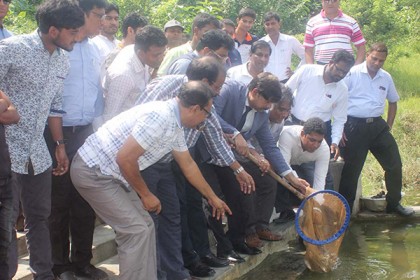 ইবিতে মাছের পোনা অবমুক্তকরণ 