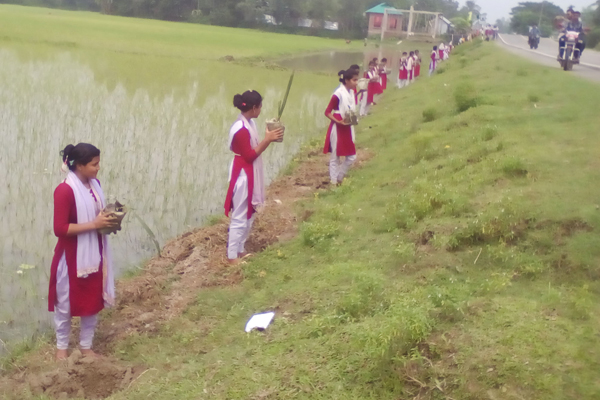 নালিতাবাড়ীতে বজ্রপাত রোধে তাল গাছ রোপণ