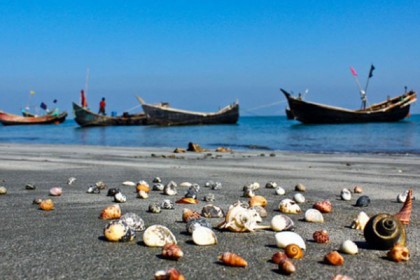 সমস্যা সম্ভাবনার নারিকেল জিনজিরা