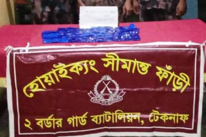 টেকনাফে বিজিবির অভিযানে ৪০ লাখ টাকার ইয়াবা উদ্ধার 