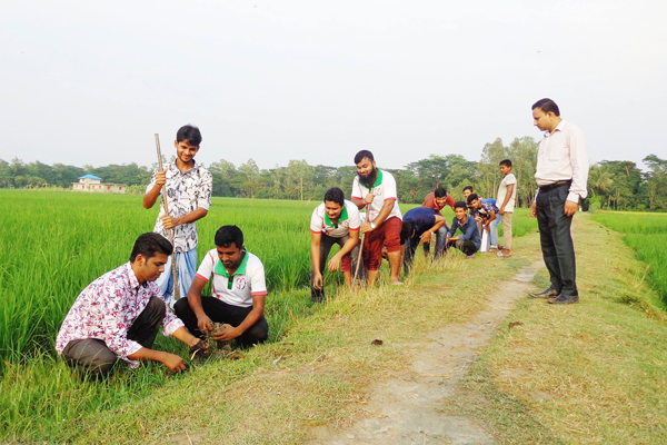মিরসরাইয়ের গ্রামীণ জনপদে 'অদম্য-২০০৫'র তালের আঁটি রোপণ কর্মসূচি