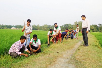 মিরসরাইয়ের গ্রামীণ জনপদে 'অদম্য-২০০৫'র তালের আঁটি রোপণ কর্মসূচি