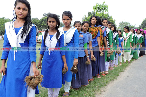 মাগুরায় ৫০ হাজার তালগাছ লাগাবে উপজেলা পরিষদ