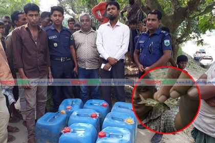 উল্লাপাড়ায় দুধের মধ্যে জীবন্ত মাছ পাওয়ায় ব্যবসায়ীকে জরিমানা