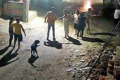 কুকুরের কাছে ক্ষমা না চাওয়ায় যুবককে কুপিয়ে হত্যা!