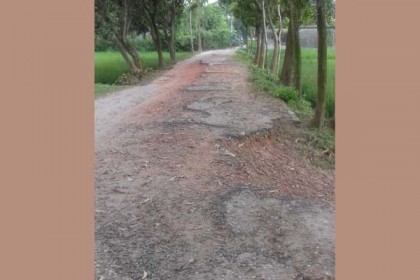 হাকিমপুর পৌরসভার সড়কগুলোর বেহাল দশা, জনদুর্ভোগ 

