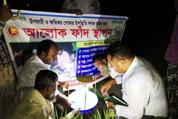 ভালুকায় ধান ক্ষেতে পোকা দমনে আলোক ফাঁদ 

