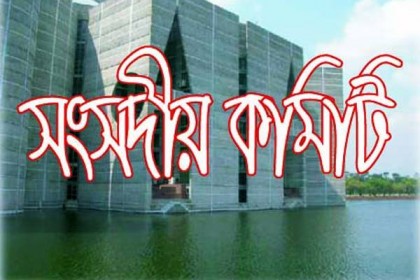 সরকারি সিদ্ধান্ত মানছে না দপ্তরগুলো, ক্ষুব্ধ সংসদীয় কমিটি

