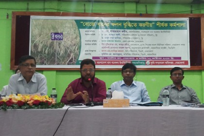 নেত্রকোনায় বোরো ধানের ফলন বৃদ্ধি শীর্ষক সেমিনার