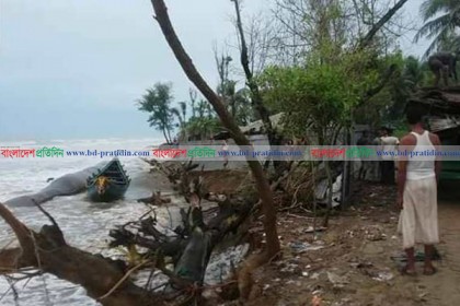 তিতলির প্রভাবে শাহপরীর দ্বীপে তীব্র ভাঙন, অর্ধশতাধিক বাড়ি-ঘর বিলীন