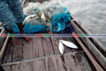 ঝালকাঠিতে ২০ কেজি ইলিশ মাছসহ জাল-নৌকা জব্দ