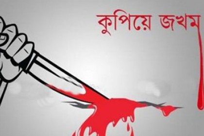 নড়িয়ায় আওয়ামী লীগ নেতাকে কুপিয়ে জখম