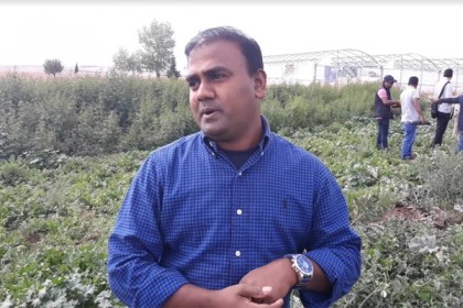 স্পেনে বাংলাদেশি সবজি চাষ করে সফল আল আমিন