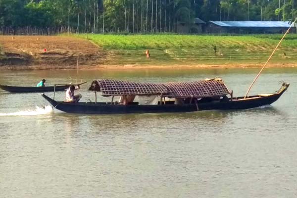 লামায় নদীর মাঝে জুয়ার আসর

