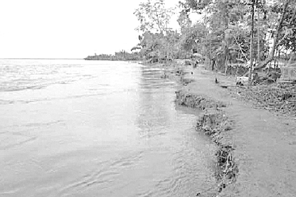 সাত দিনে অর্ধ-শতাধিক বসতবাড়ি ধরলার গর্ভে