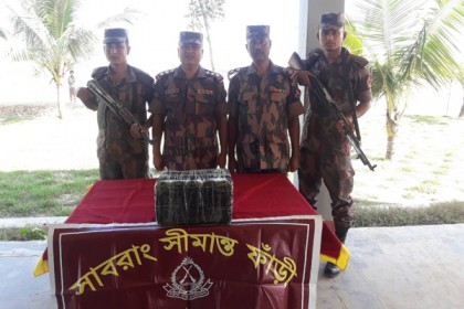 পানের বরজে মিলল ৩ কোটি টাকার ইয়াবা