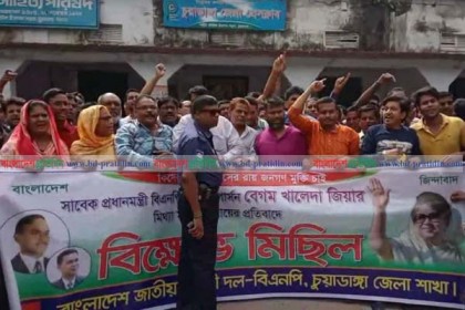 চুয়াডাঙ্গায় বিএনপির বিক্ষোভ মিছিলে পুলিশি বাধা
