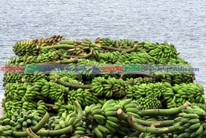 সব মৌসুমে মিলে পাহাড়ি কলা 