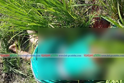 কুমিল্লায় হাত-পায়ের রগ কেটে বৃদ্ধাকে হত্যা 