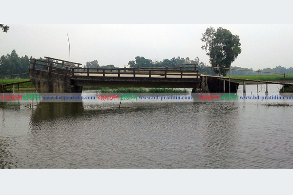 ফুলপুরে ১২ বছরেও মেরামত হয়নি পলাশকান্দা ব্রিজ!