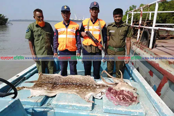 সুন্দরবন থেকে হরিণের মাথা চামড়া উদ্ধার