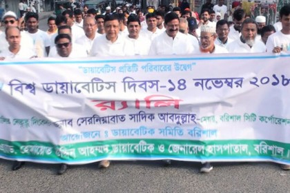 বরিশালে বিশ্ব ডায়াবেটিস দিবসে র‌্যালি ও আলোচনা সভা