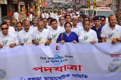 বিশ্ব ডায়াবেটিস দিবসে বগুড়ায় নানা কর্মসূচি

