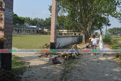 ঠাকুরগাঁওয়ে অনুমতি ছাড়াই গাছ বিক্রির অভিযোগ শিক্ষকের বিরুদ্ধে