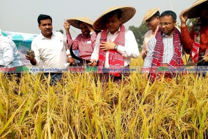 `বাঙালীর অস্তিত্ব জড়িয়ে আছে আনন্দের উৎসব নবান্নে'