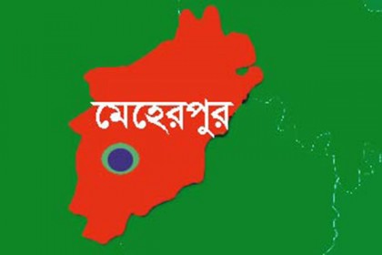 গাংনীতে স্ত্রীকে হত্যা, স্বামী গ্রেফতার