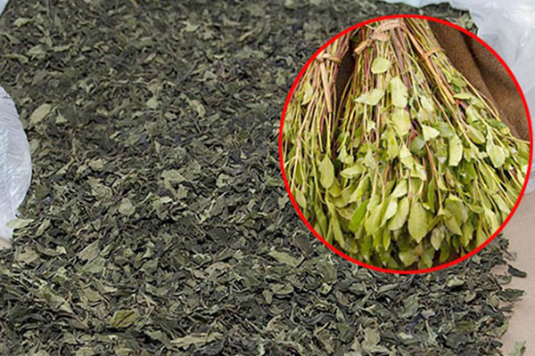 শাহজালালে ৯৮৫ কেজি ‘খাট’ জব্দ