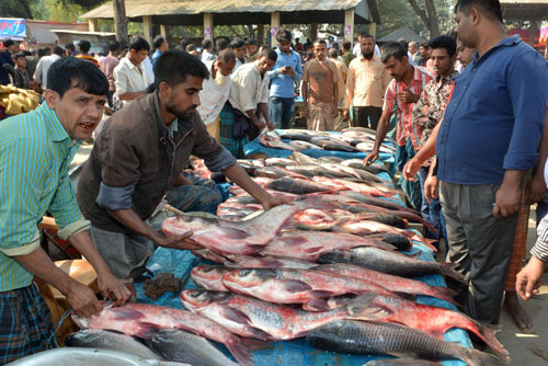 বগুড়ার মাছের মেলায় ২০ গ্রামের স্বজনদের মিলনমেলা
