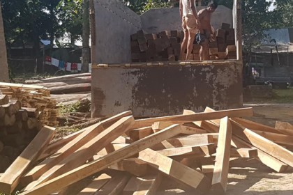 কুমিল্লায় দুই লক্ষ টাকার কাঠ জব্দ

