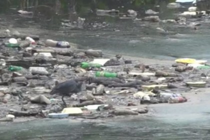 যে কারণে বাগানের শহর এখন ভাগাড়ের শহর