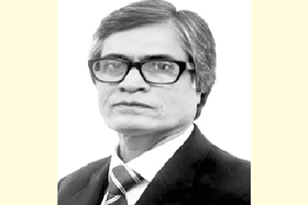আমার দেখা আনোয়ার হোসেন-ডলি আনোয়ার